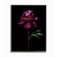 Ступел индустрии цвете с дълго стъбло Черно лилаво природа снимка рамка стена арт дизайн от Елис Катерал, 24 30