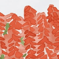 Просто цвете на маргаритка Бел букет праскова Цветен печат плакат