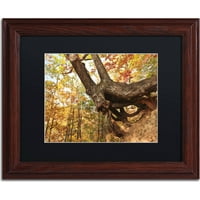 Търговска марка изобразително изкуство дърво на подслон платно изкуство от Джейсън Шафър, Черен мат, дървена рамка