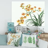 Дизайнарт 'Жълти Винтидж Орхидеи На Бяло' Традиционен Платнен Принт За Стена