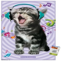 Кийт Кимбърлин - коте - Плакат за пеене на стена с бутални щифтове, 22.375 34