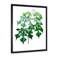 Дизайнарт' древни зелени листа растения ' традиционна рамка Арт Принт