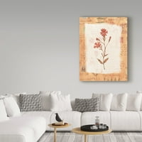 Марка изобразително изкуство 'червено цвете Рустик' платно изкуство от Надежда Стрийт дизайн