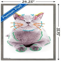 CAT - Смешна плакат за стена на лицето, 22.375 34